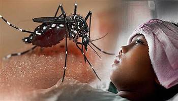 Gambar Demam Berdarah Dengue
