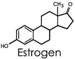 Gambar Estrogen