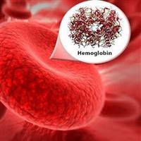 Gambar Hemoglobin