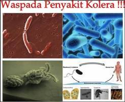 Gambar Kolera
