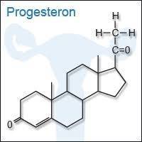 Gambar Progesteron