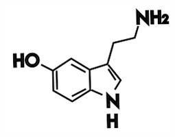 Gambar Serotonin