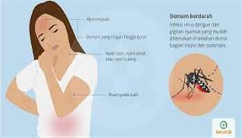 Gambar Demam Berdarah Dengue Derajat III