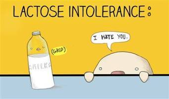 Gambar Intoleransi Laktosa