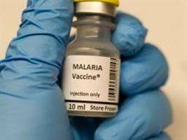 Gambar Vaksinasi Malaria